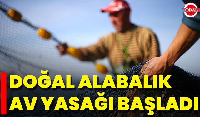 Doğal Alabalık Av Yasağı Başladı