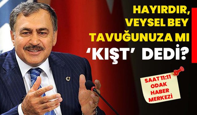 Hayırdır, Veysel Bey tavuğunuza mı ‘kışt’ dedi?