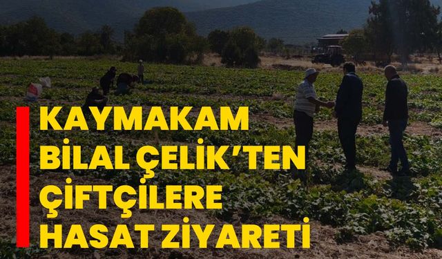 Kaymakam Bilal Çelik’ten Çiftçilere Hasat Ziyareti