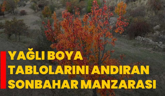 Yağlı boya tablolarını andıran sonbahar manzarası