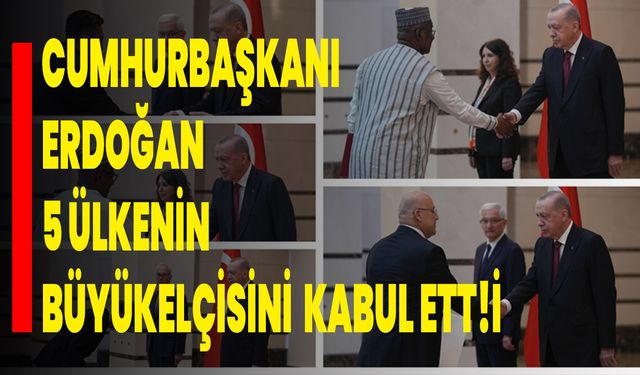 Cumhurbaşkanı Erdoğan, 5 ülkenin büyükelçisini kabul etti
