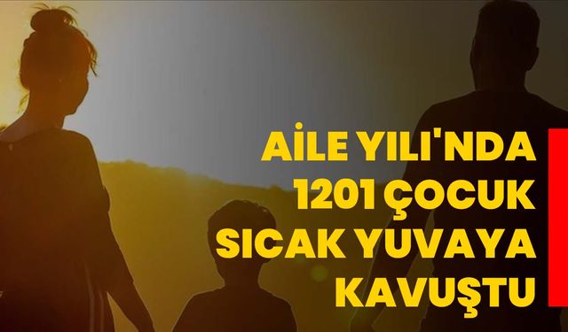 Aile Yılı'nda 1201 çocuk sıcak yuvaya kavuştu