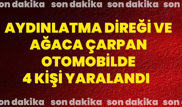 Aydınlatma direği ve ağaca çarpan otomobilde 4 kişi yaralandı