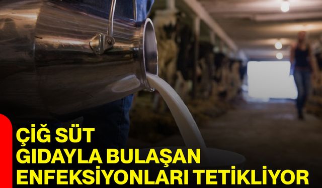 Çiğ Süt Gıdayla Bulaşan Enfeksiyonları Tetikliyor