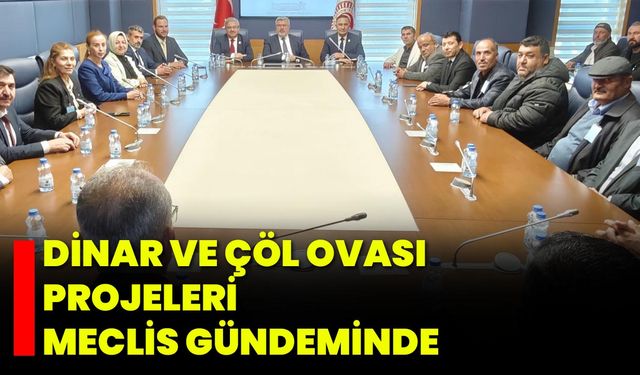 Dinar ve Çöl Ovası Projeleri Meclis Gündeminde