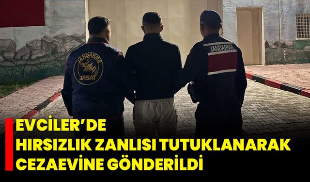Evciler’de Hırsızlık Zanlısı Tutuklanarak Cezaevine Gönderildi