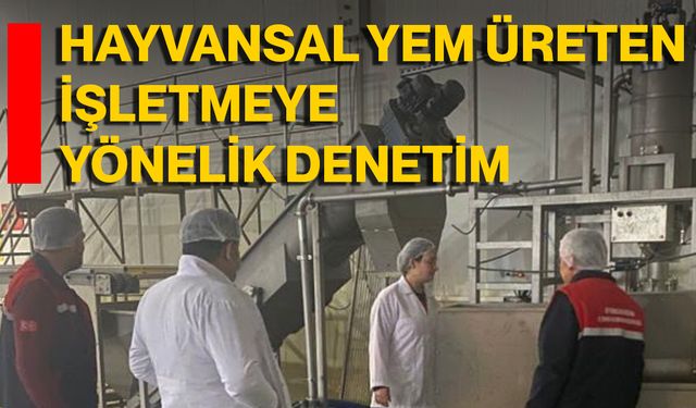 Hayvansal Yem Üreten İşletmeye Yönelik Denetim