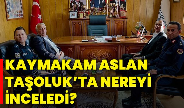 Kaymakam Aslan Taşoluk’ta nereyi inceledi?