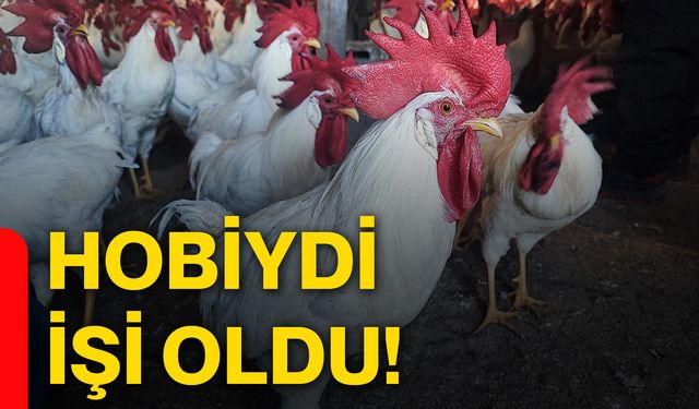 Hobiydi, işi oldu!