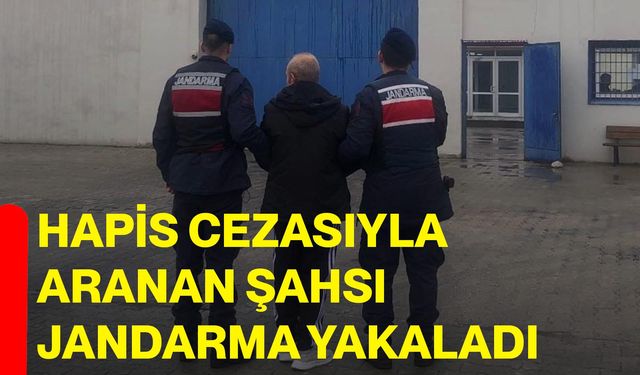 Hapis cezasıyla aranan şahsı jandarma yakaladı