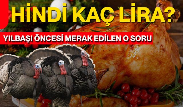 Hindi Kaç Lira? Yılbaşı Öncesi Merak Edilen O Soru
