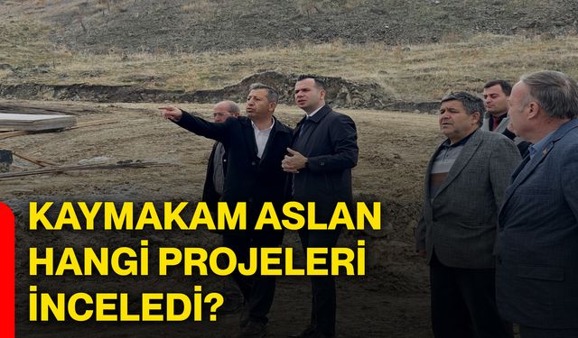 Kaymakam Aslan, hangi projeleri inceledi?
