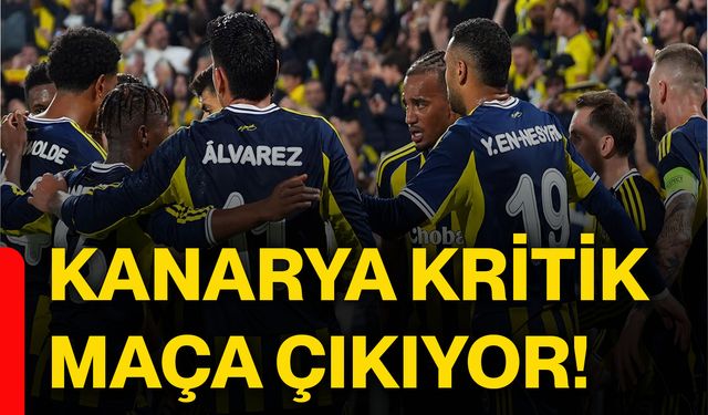 Kanarya kritik maça çıkıyor!