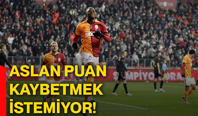 Aslan puan kaybetmek istemiyor!