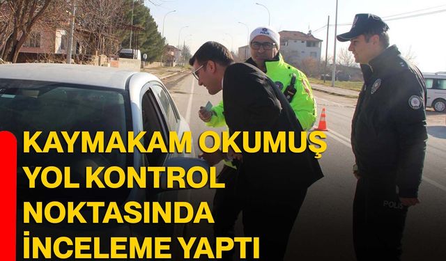 Kaymakam Okumuş yol kontrol noktasında inceleme yaptı