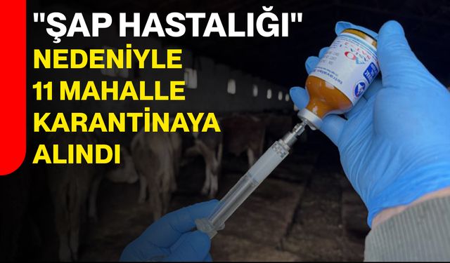 "Şap Hastalığı" Nedeniyle 11 Mahalle Karantinaya Alındı