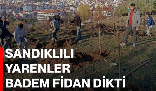 Sandıklılı yarenler badem fidan dikti