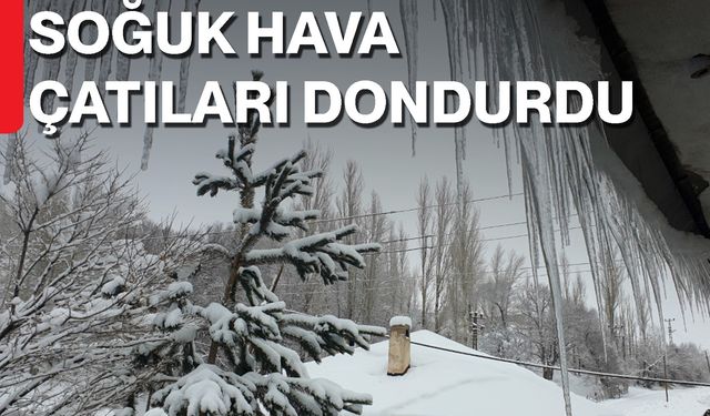 Soğuk Hava Çatıları Dondurdu