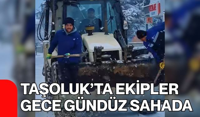Taşoluk’ta Ekipler Gece Gündüz Sahada