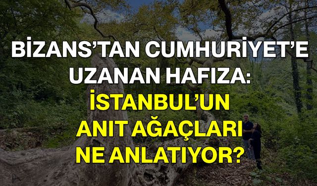 Bizans’tan Cumhuriyet’e Uzanan Hafıza: İstanbul’un Anıt Ağaçları Ne Anlatıyor?