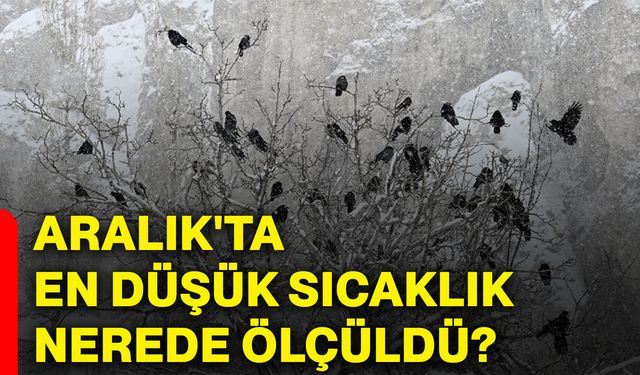 Aralık'ta en düşük sıcaklık nerede ölçüldü?