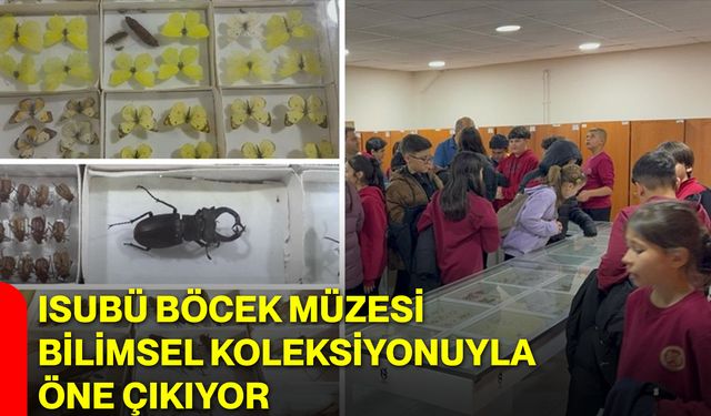 ISUBÜ Böcek Müzesi bilimsel koleksiyonuyla öne çıkıyor