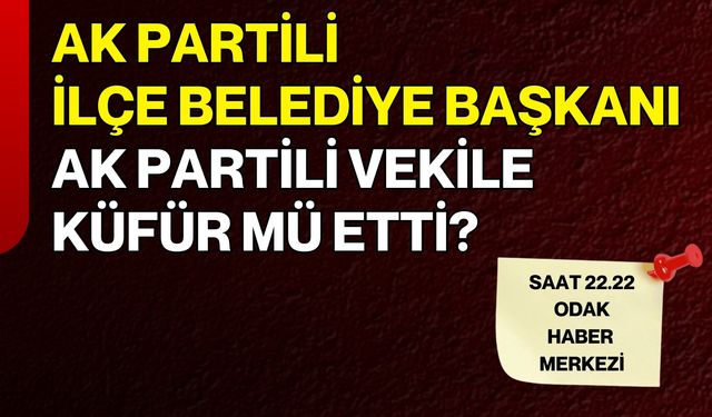 AK Partili İlçe Belediye Başkanı  AK Partili Vekile Küfür Mü Etti?