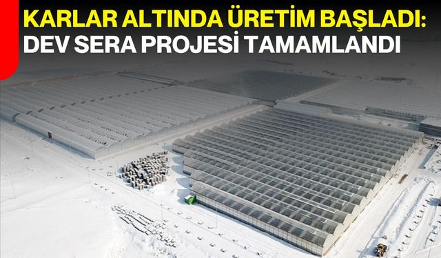 Karlar Altında Üretim Başladı: Dev Sera Projesi Tamamlandı