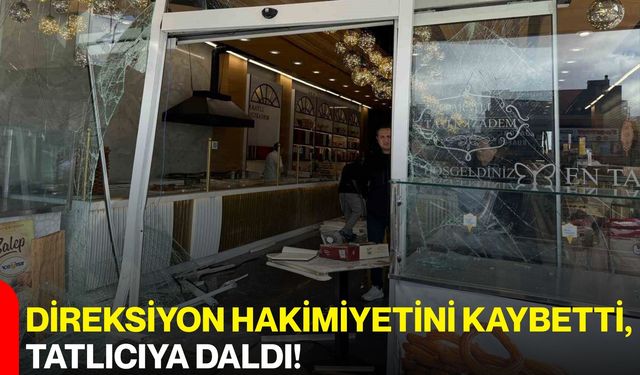 Direksiyon Hakimiyetini Kaybetti, Tatlıcıya Daldı!