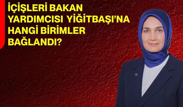 İçişleri Bakan Yardımcısı Yiğitbaşı’na Hangi Birimler Bağlandı?