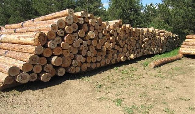 ORMAN EMVALİ İSTİFLEME HİZMETİ ALINACAKTIR