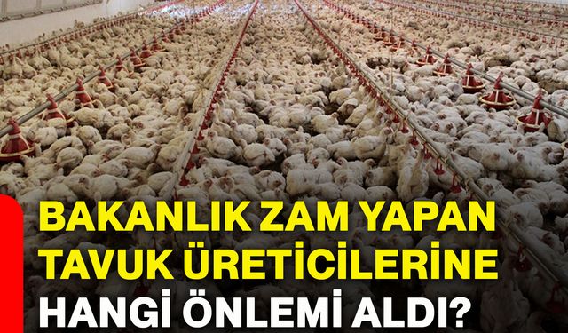 Bakanlık zam yapan tavuk üreticilerine hangi önlemi aldı?