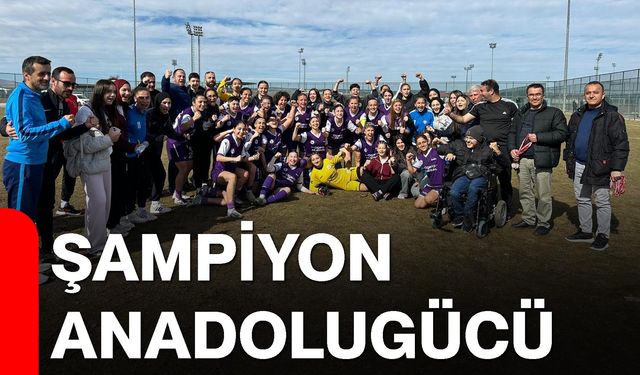 Şampiyon Anadolugücü