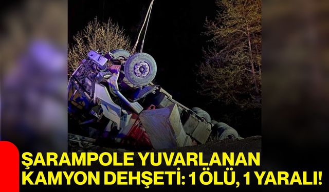 Şarampole Yuvarlanan Kamyon Dehşeti: 1 Ölü, 1 Yaralı!