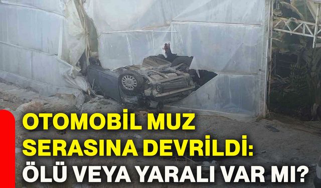 Otomobil muz serasına devrildi: Ölü veya yaralı var mı?