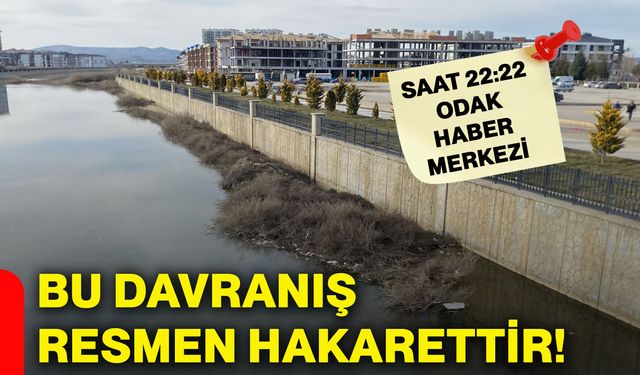 Bu davranış resmen hakarettir!
