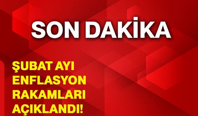 Şubat ayı enflasyon rakamları açıklandı!