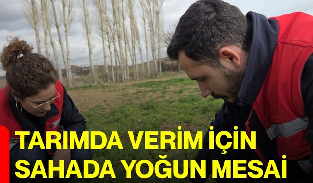 Tarımda Verim İçin Sahada Yoğun Mesai
