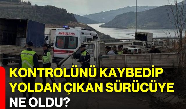 Kontrolünü Kaybedip Yoldan Çıkan Sürücüye Ne Oldu?