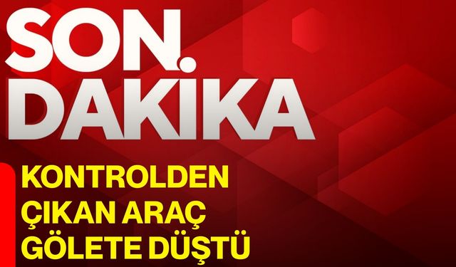 Kontrolden Çıkan Araç Gölete Düştü