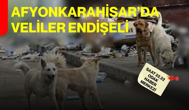 Afyonkarahisar’da veliler endişeli