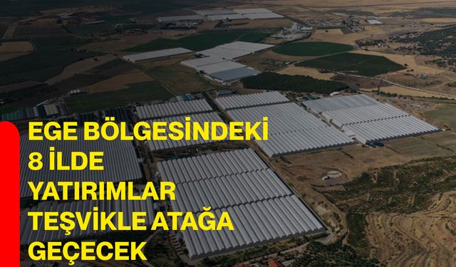 Ege Bölgesindeki 8 ilde yatırımlar teşvikle atağa geçecek