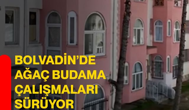 Bolvadin’de ağaç budama çalışmaları sürüyor