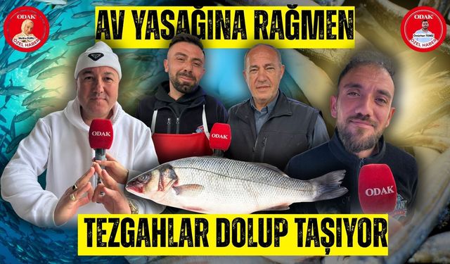 Av Yasağına Rağmen Tezgahlar Dolup Taşıyor