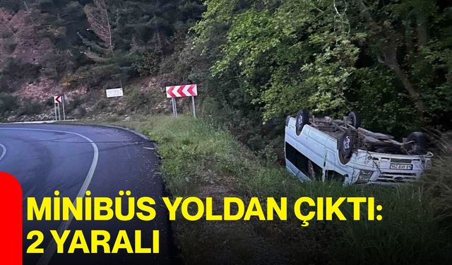 Minibüs Yoldan Çıktı: 2 Yaralı