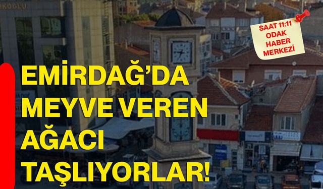 Emirdağ’da meyve veren ağacı taşlıyorlar!