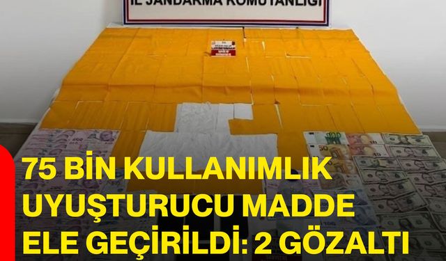 75 Bin Kullanımlık Uyuşturucu Madde Ele Geçirildi: 2 Gözaltı