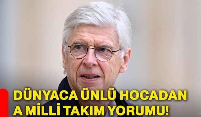 Dünyaca ünlü hocadan A Milli Takım yorumu!