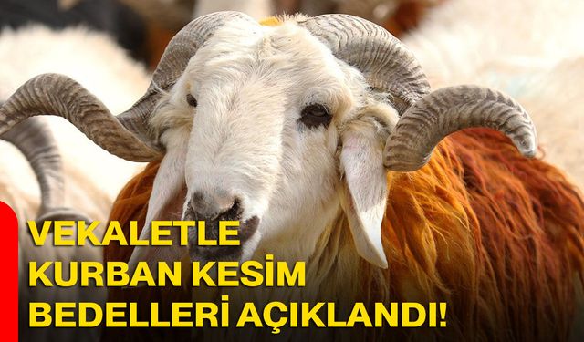 Vekaletle Kurban Kesim Bedelleri Açıklandı!