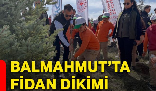 Balmahmut’ta fidan dikimi